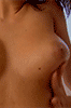 Animated erotic GIF